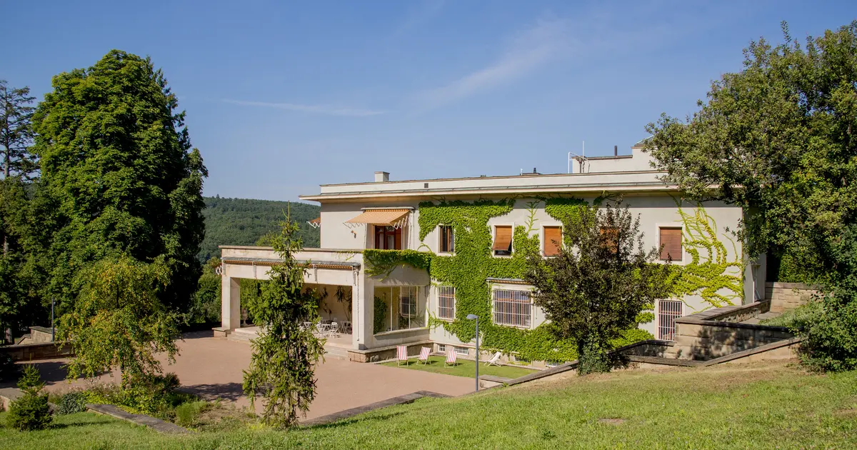 Vila Stiassny