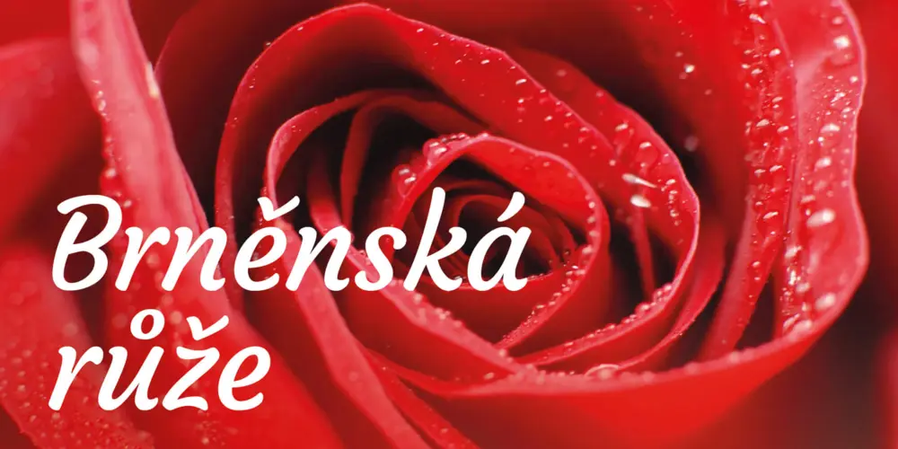 Brnenska Ruze () Brnenska Ruze